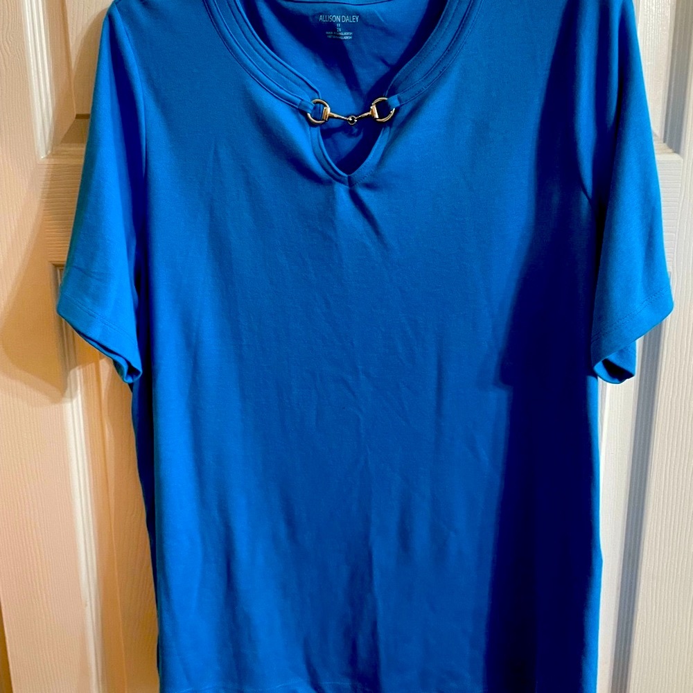 Nice beautiful blue color short sleeve top 2X